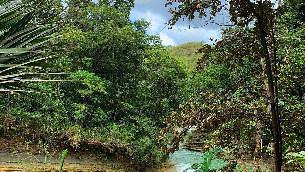 海南乐东野生动物保护区