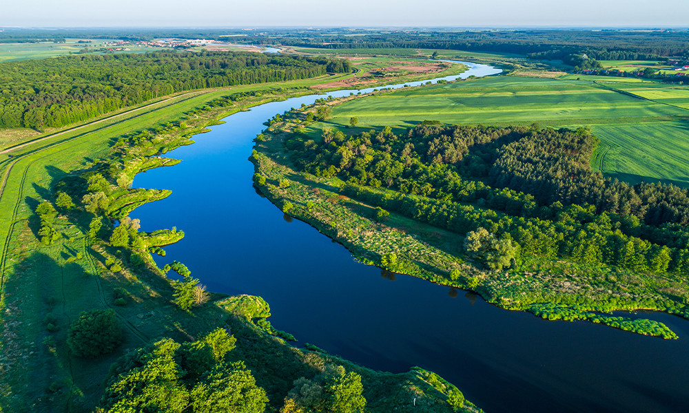 自然保护区 / 国家公园