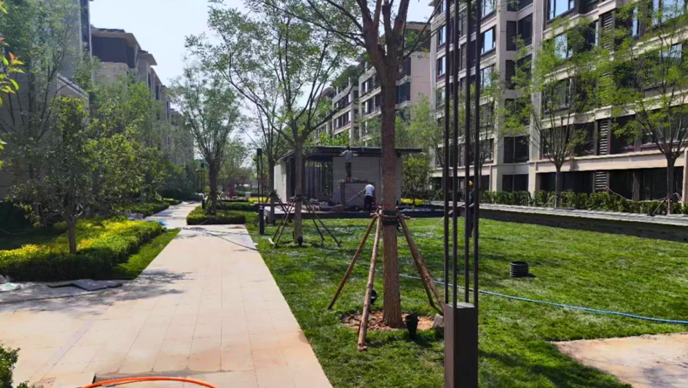 天津津南区海教园房